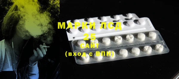 PSILOCYBIN Алзамай