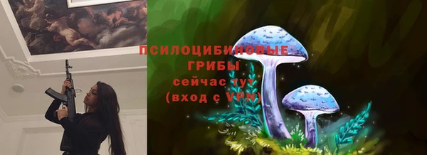 СК Абдулино