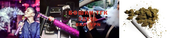 PSILOCYBIN Алзамай