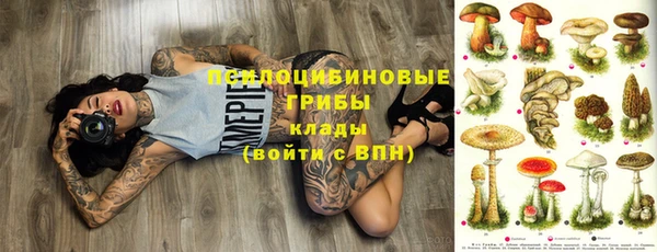 первитин Алексин
