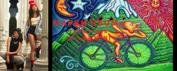 PSILOCYBIN Алзамай