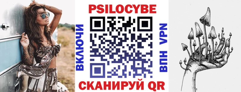 Галлюциногенные грибы Cubensis Цимлянск